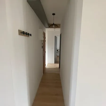 Zenith Urbain Χάβρη